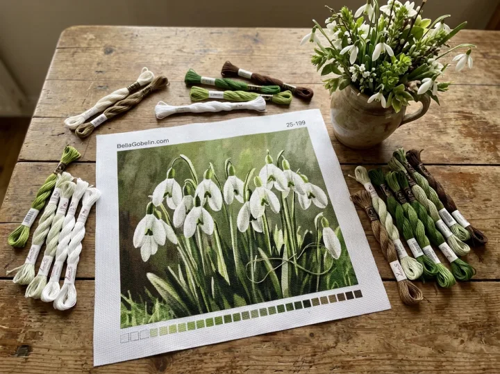 Crocus – 25-199