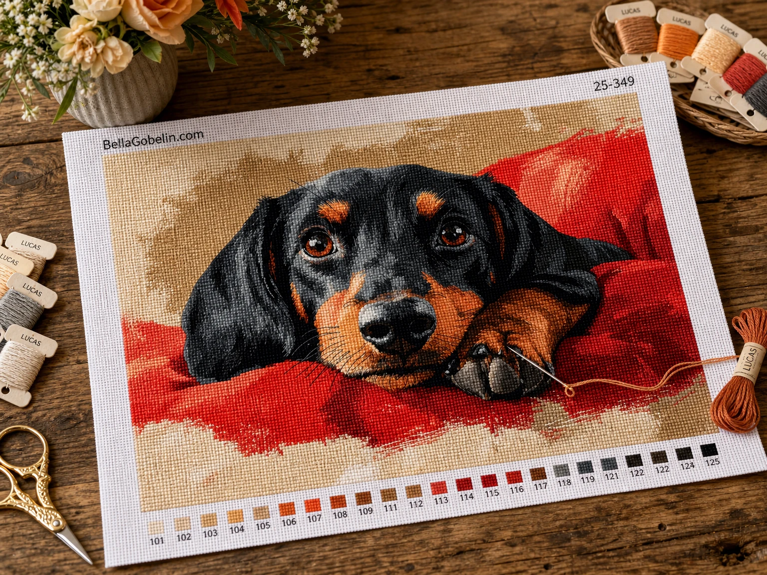 Πορτρέτο τα Dachshund, σκυλάκι Dachshund – 25-349