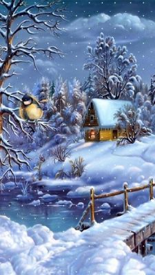 Meise auf dem Ast - winterliche Stimmung