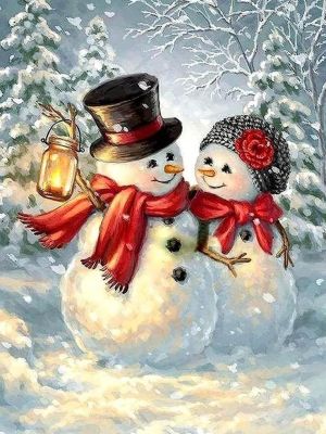 Snsn fhir sneachta
