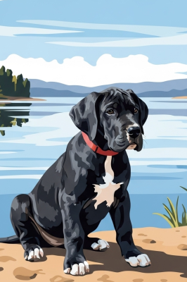 Hondportret - Duitse Dog puppy aan het meer – 25-907