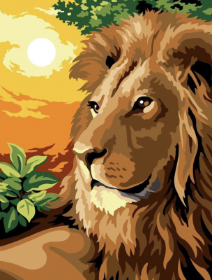 Lion portrait – AA022