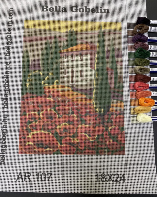 Poppies at the hacienda