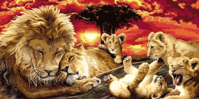 Lion family