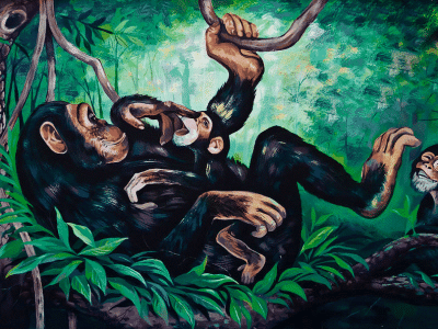 Chimpancés