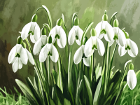 Campanilla de invierno – 25-199