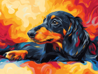 Dackel Porträt, Dackel Hund