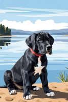 Hondportret - Duitse Dog puppy aan het meer – 25-907