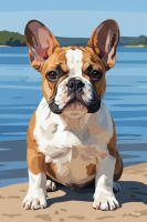 Bulldog Ingli fit-t-Tiben – 25-944