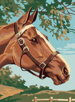 Horse portrait