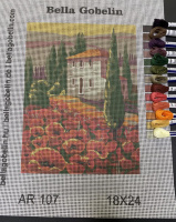 Poppies at the hacienda