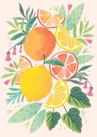 Citrus fruits – AR-252