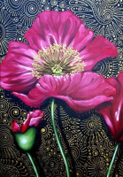 Série de Flores – AR-284