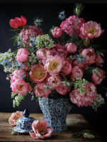 Pfingstrose in der Vase
