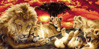 Lion family