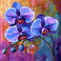 Lila Orchidee